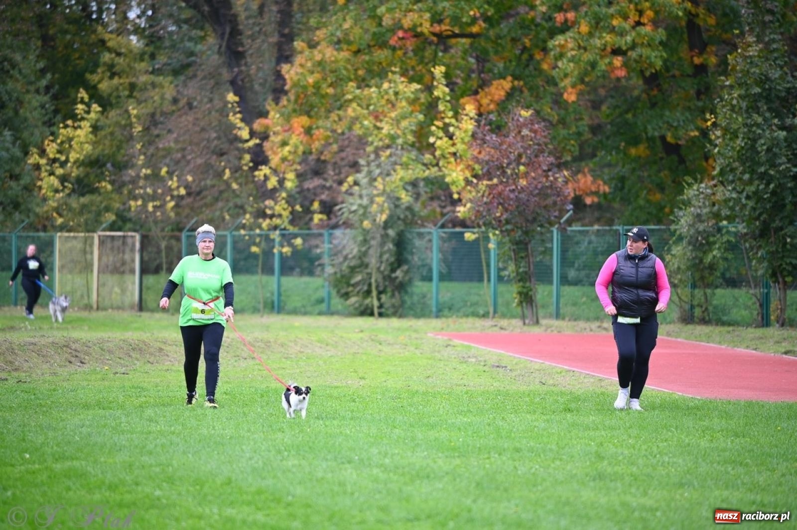 Zdjęcie w galerii na portalu naszraciborz.pl: Niedzielny dogtrekking. Bieg i spacer z psami wsparciem dla zwierząt OTOZ Animals wiadomości z regionu