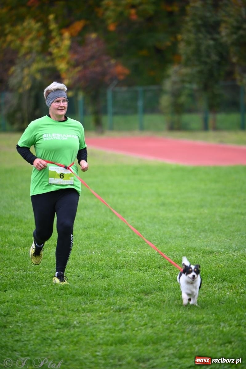 Zdjęcie w galerii na portalu naszraciborz.pl: Niedzielny dogtrekking. Bieg i spacer z psami wsparciem dla zwierząt OTOZ Animals wiadomości z regionu