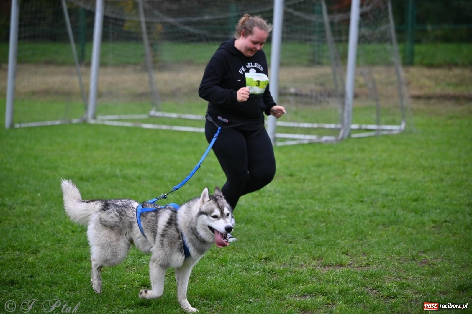 Zdjęcie w galerii na portalu naszraciborz.pl: Niedzielny dogtrekking. Bieg i spacer z psami wsparciem dla zwierząt OTOZ Animals wiadomości z regionu
