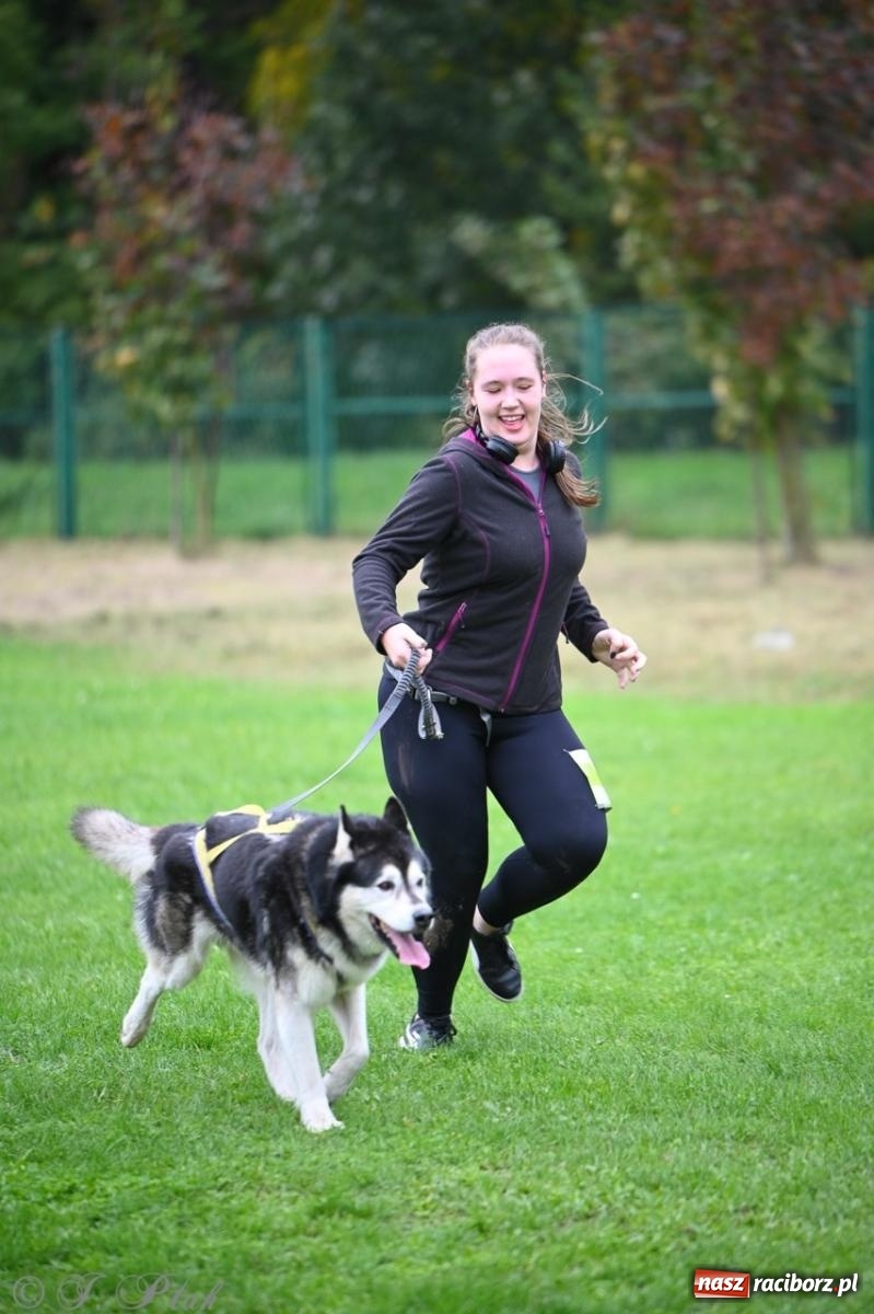 Zdjęcie w galerii na portalu naszraciborz.pl: Niedzielny dogtrekking. Bieg i spacer z psami wsparciem dla zwierząt OTOZ Animals wiadomości z regionu