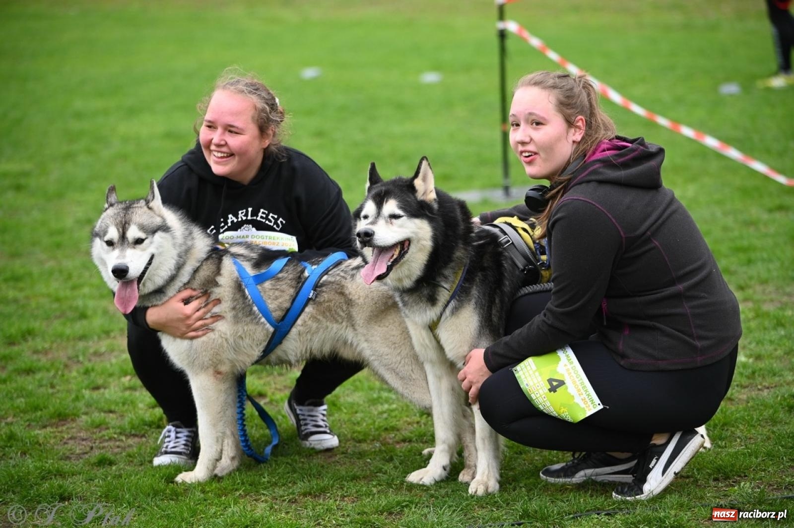 Zdjęcie w galerii na portalu naszraciborz.pl: Niedzielny dogtrekking. Bieg i spacer z psami wsparciem dla zwierząt OTOZ Animals wiadomości z regionu
