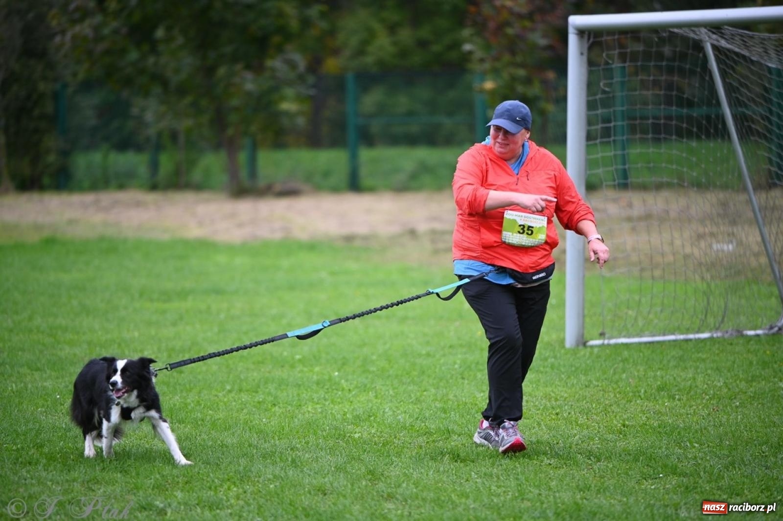 Zdjęcie w galerii na portalu naszraciborz.pl: Niedzielny dogtrekking. Bieg i spacer z psami wsparciem dla zwierząt OTOZ Animals wiadomości z regionu