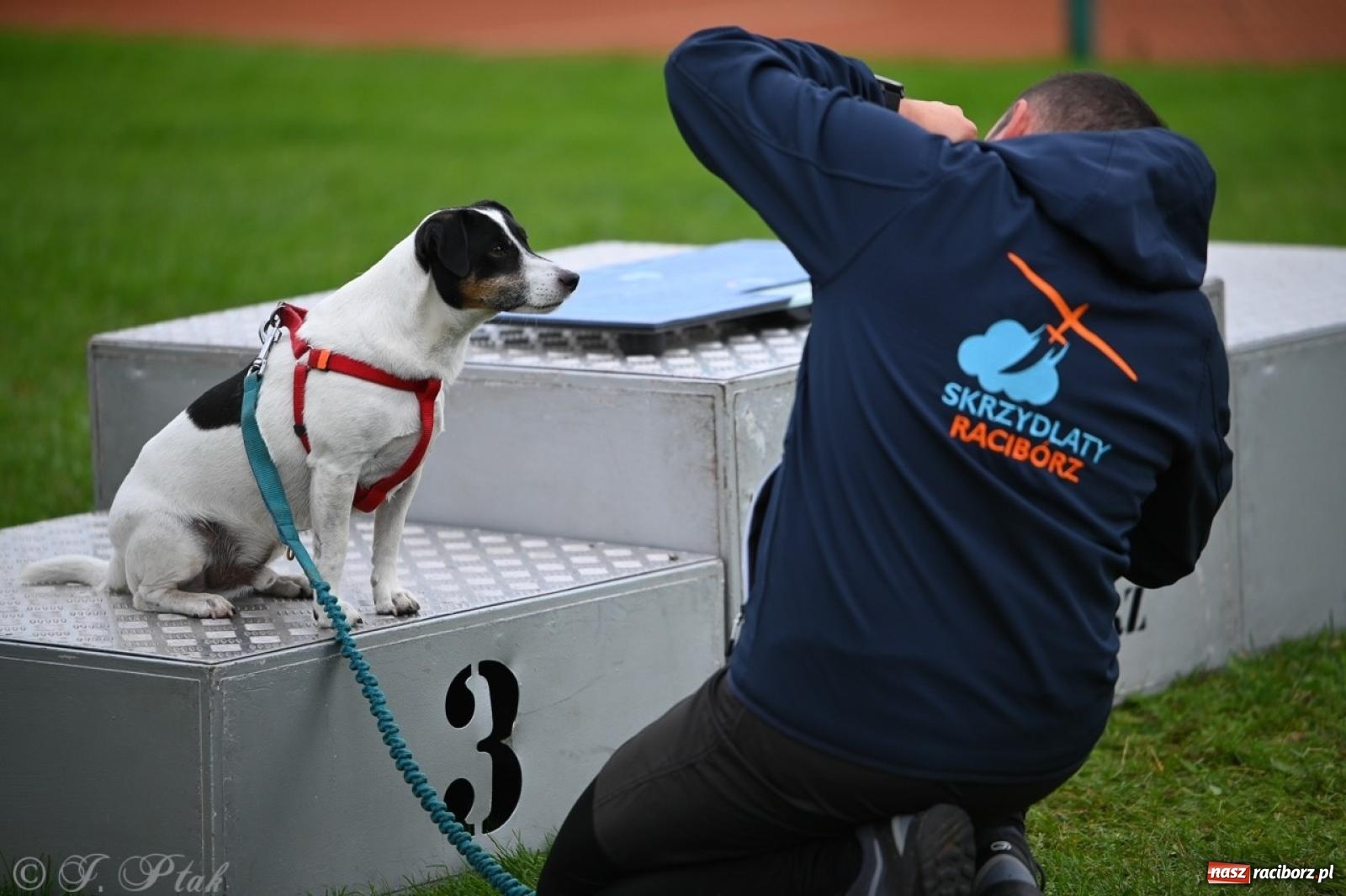 Zdjęcie w galerii na portalu naszraciborz.pl: Niedzielny dogtrekking. Bieg i spacer z psami wsparciem dla zwierząt OTOZ Animals wiadomości z regionu