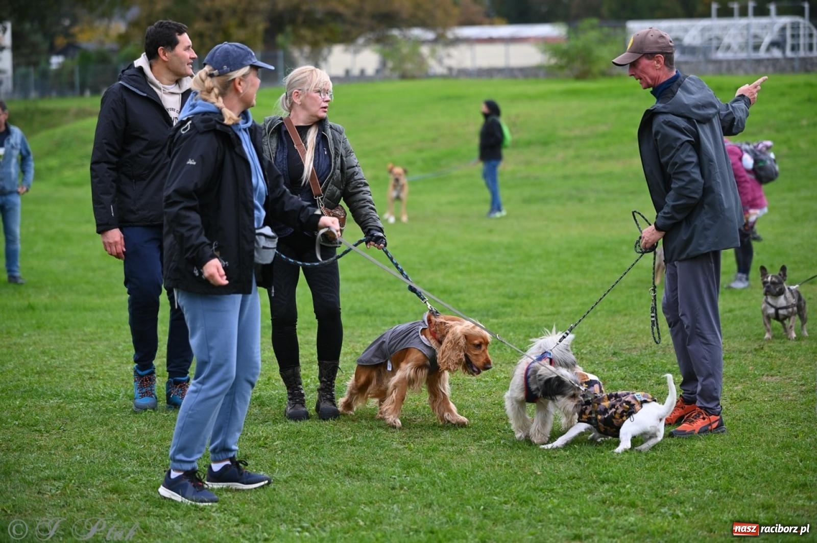 Zdjęcie w galerii na portalu naszraciborz.pl: Niedzielny dogtrekking. Bieg i spacer z psami wsparciem dla zwierząt OTOZ Animals wiadomości z regionu