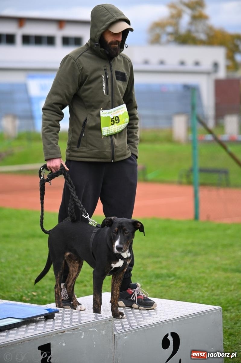 Zdjęcie w galerii na portalu naszraciborz.pl: Niedzielny dogtrekking. Bieg i spacer z psami wsparciem dla zwierząt OTOZ Animals wiadomości z regionu