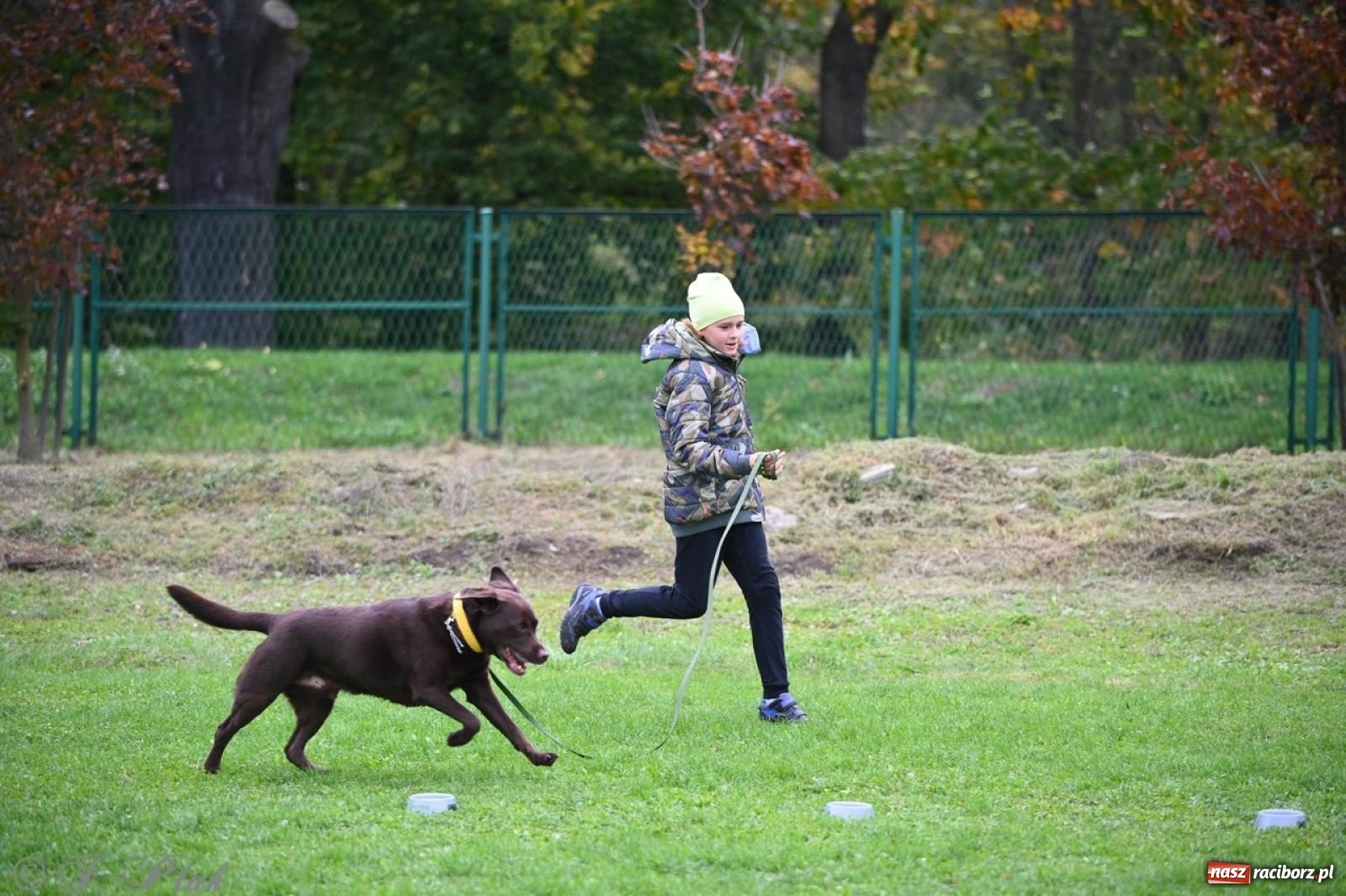 Zdjęcie w galerii na portalu naszraciborz.pl: Niedzielny dogtrekking. Bieg i spacer z psami wsparciem dla zwierząt OTOZ Animals wiadomości z regionu