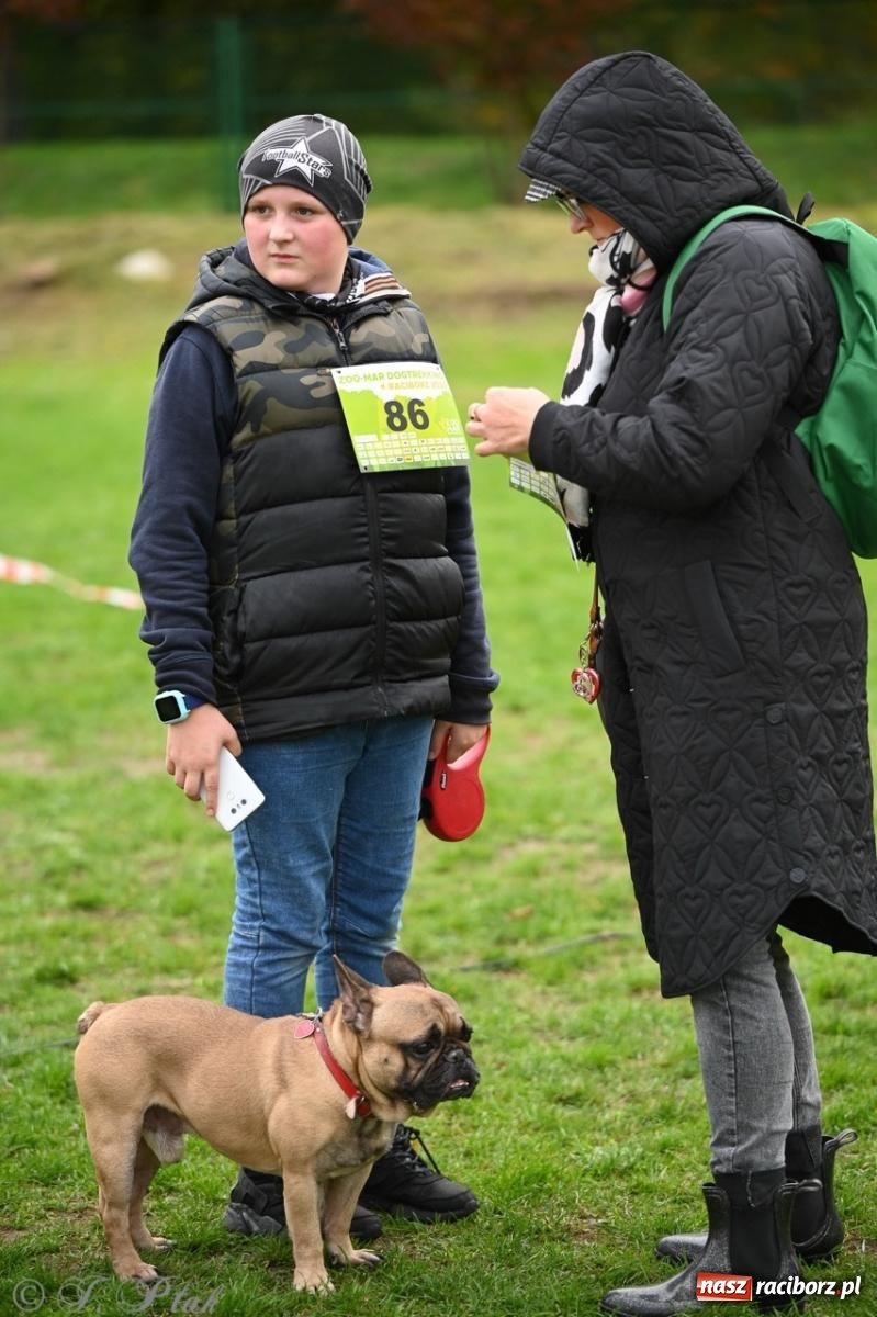 Zdjęcie w galerii na portalu naszraciborz.pl: Niedzielny dogtrekking. Bieg i spacer z psami wsparciem dla zwierząt OTOZ Animals wiadomości z regionu
