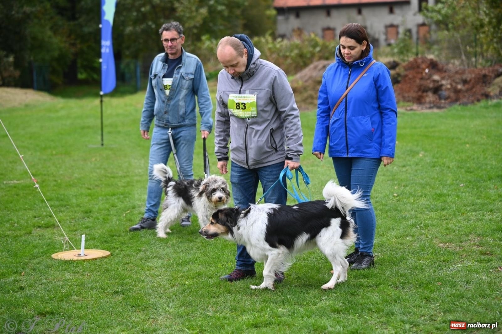 Zdjęcie w galerii na portalu naszraciborz.pl: Niedzielny dogtrekking. Bieg i spacer z psami wsparciem dla zwierząt OTOZ Animals wiadomości z regionu
