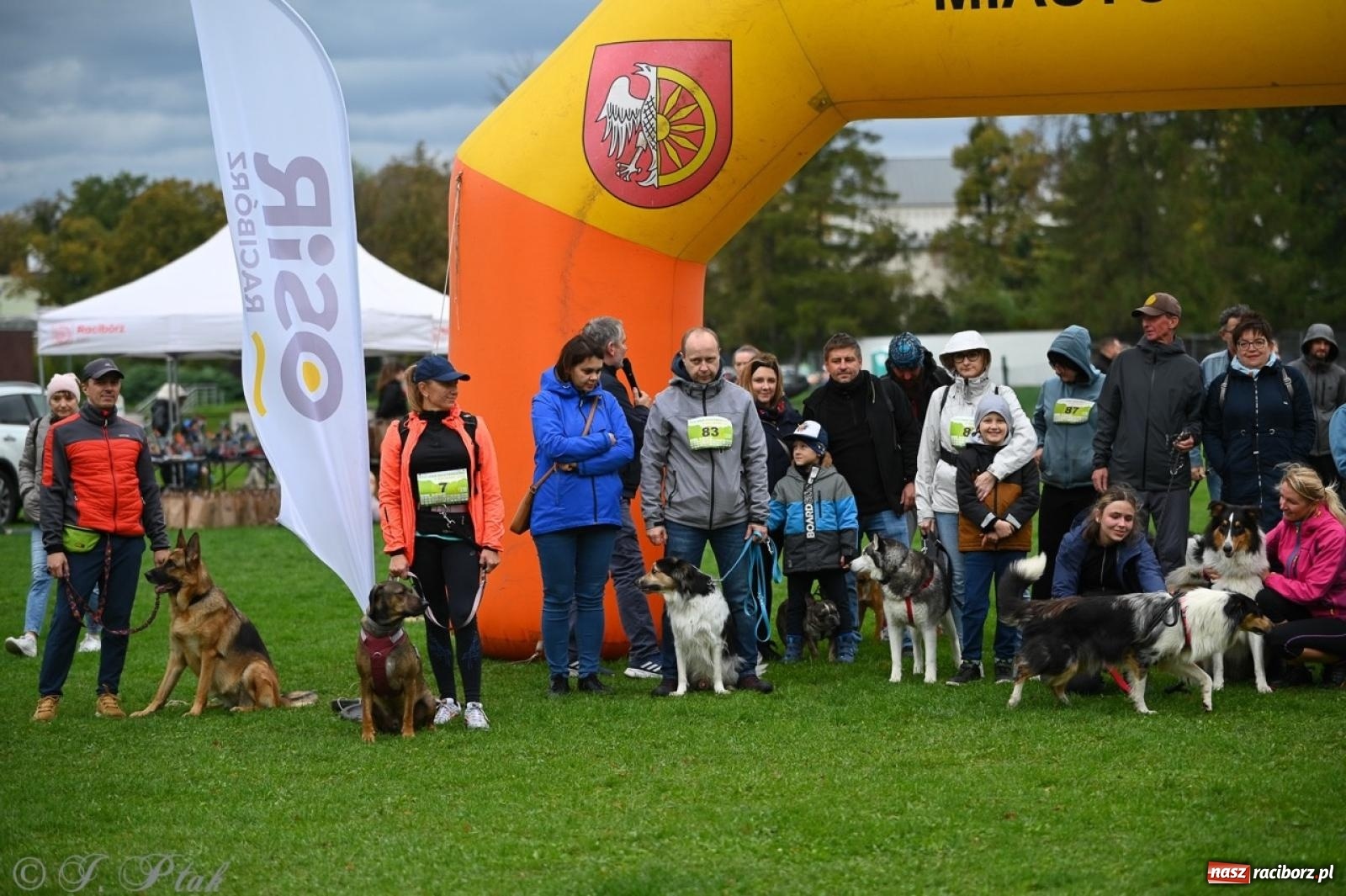 Zdjęcie w galerii na portalu naszraciborz.pl: Niedzielny dogtrekking. Bieg i spacer z psami wsparciem dla zwierząt OTOZ Animals wiadomości z regionu