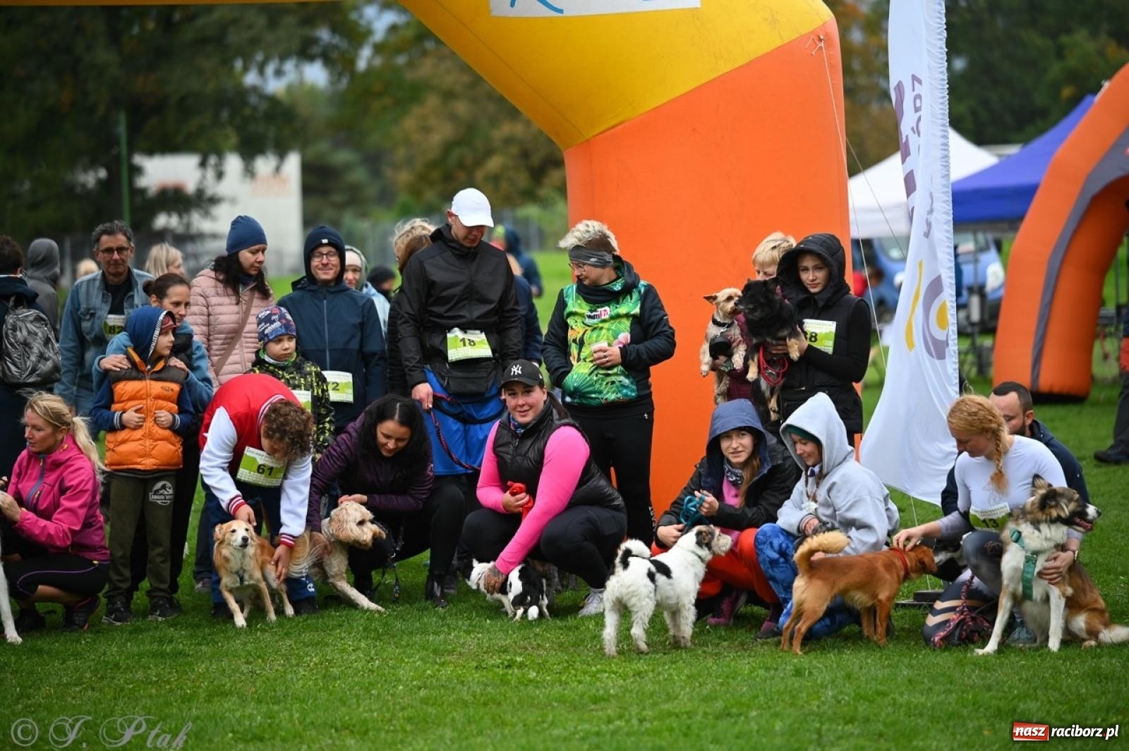 Zdjęcie w galerii na portalu naszraciborz.pl: Niedzielny dogtrekking. Bieg i spacer z psami wsparciem dla zwierząt OTOZ Animals wiadomości z regionu