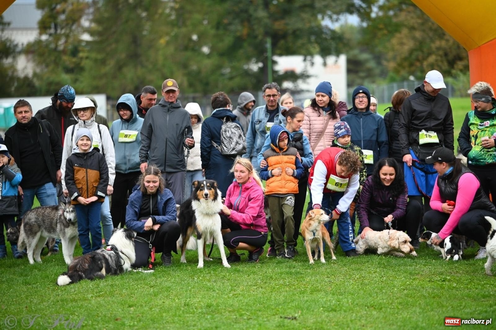 Zdjęcie w galerii na portalu naszraciborz.pl: Niedzielny dogtrekking. Bieg i spacer z psami wsparciem dla zwierząt OTOZ Animals wiadomości z regionu