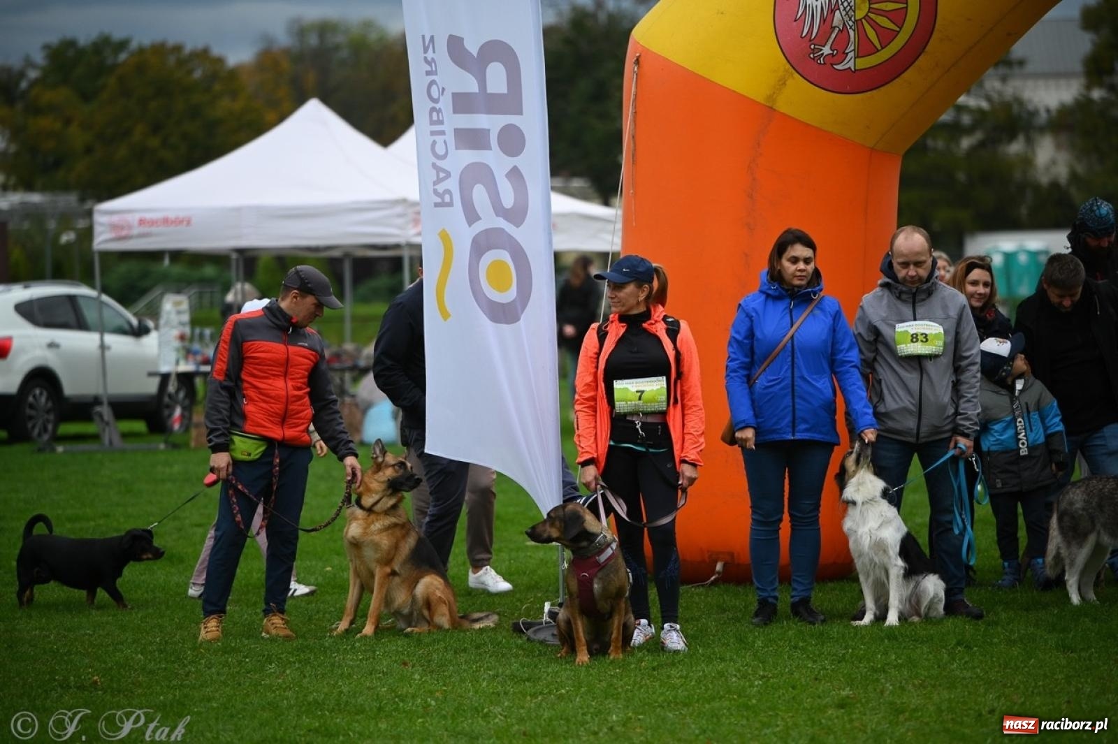 Zdjęcie w galerii na portalu naszraciborz.pl: Niedzielny dogtrekking. Bieg i spacer z psami wsparciem dla zwierząt OTOZ Animals wiadomości z regionu