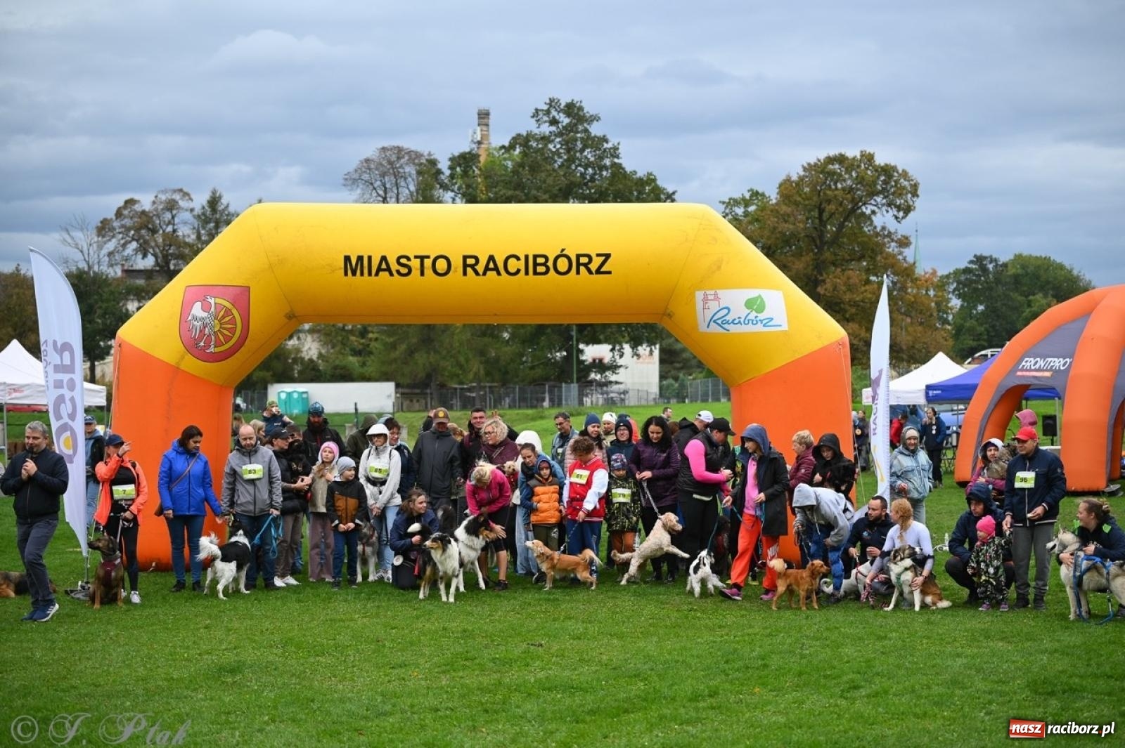 Zdjęcie w galerii na portalu naszraciborz.pl: Niedzielny dogtrekking. Bieg i spacer z psami wsparciem dla zwierząt OTOZ Animals wiadomości z regionu