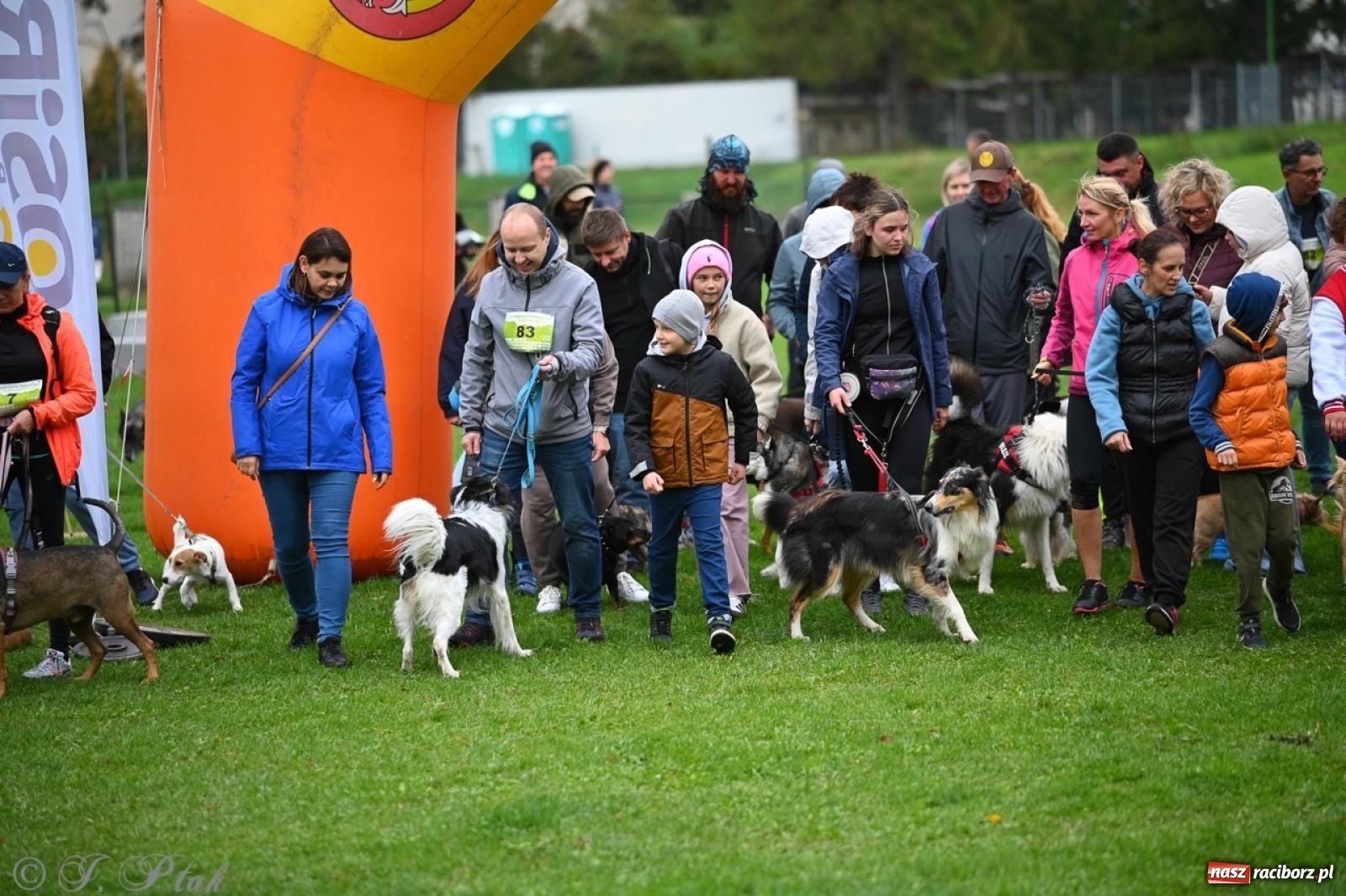 Zdjęcie w galerii na portalu naszraciborz.pl: Niedzielny dogtrekking. Bieg i spacer z psami wsparciem dla zwierząt OTOZ Animals wiadomości z regionu