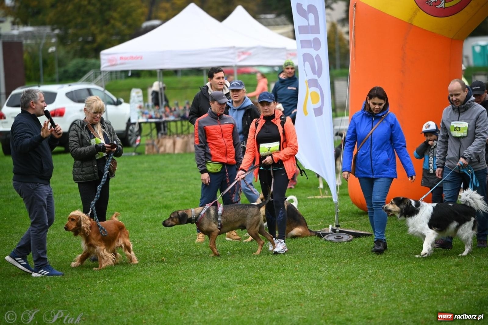 Zdjęcie w galerii na portalu naszraciborz.pl: Niedzielny dogtrekking. Bieg i spacer z psami wsparciem dla zwierząt OTOZ Animals wiadomości z regionu