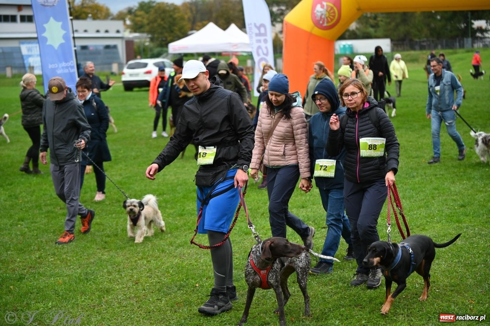 Zdjęcie w galerii na portalu naszraciborz.pl: Niedzielny dogtrekking. Bieg i spacer z psami wsparciem dla zwierząt OTOZ Animals wiadomości z regionu