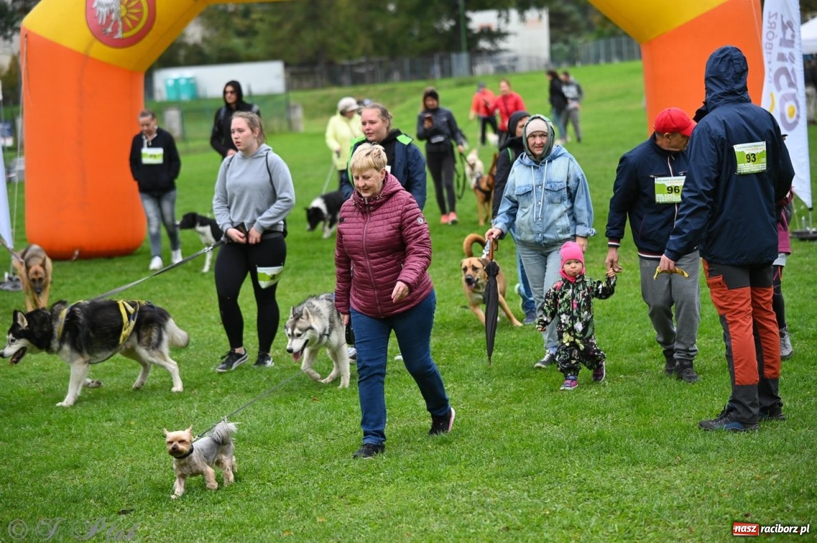 Zdjęcie w galerii na portalu naszraciborz.pl: Niedzielny dogtrekking. Bieg i spacer z psami wsparciem dla zwierząt OTOZ Animals wiadomości z regionu