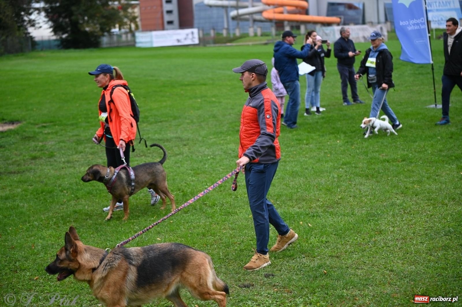 Zdjęcie w galerii na portalu naszraciborz.pl: Niedzielny dogtrekking. Bieg i spacer z psami wsparciem dla zwierząt OTOZ Animals wiadomości z regionu