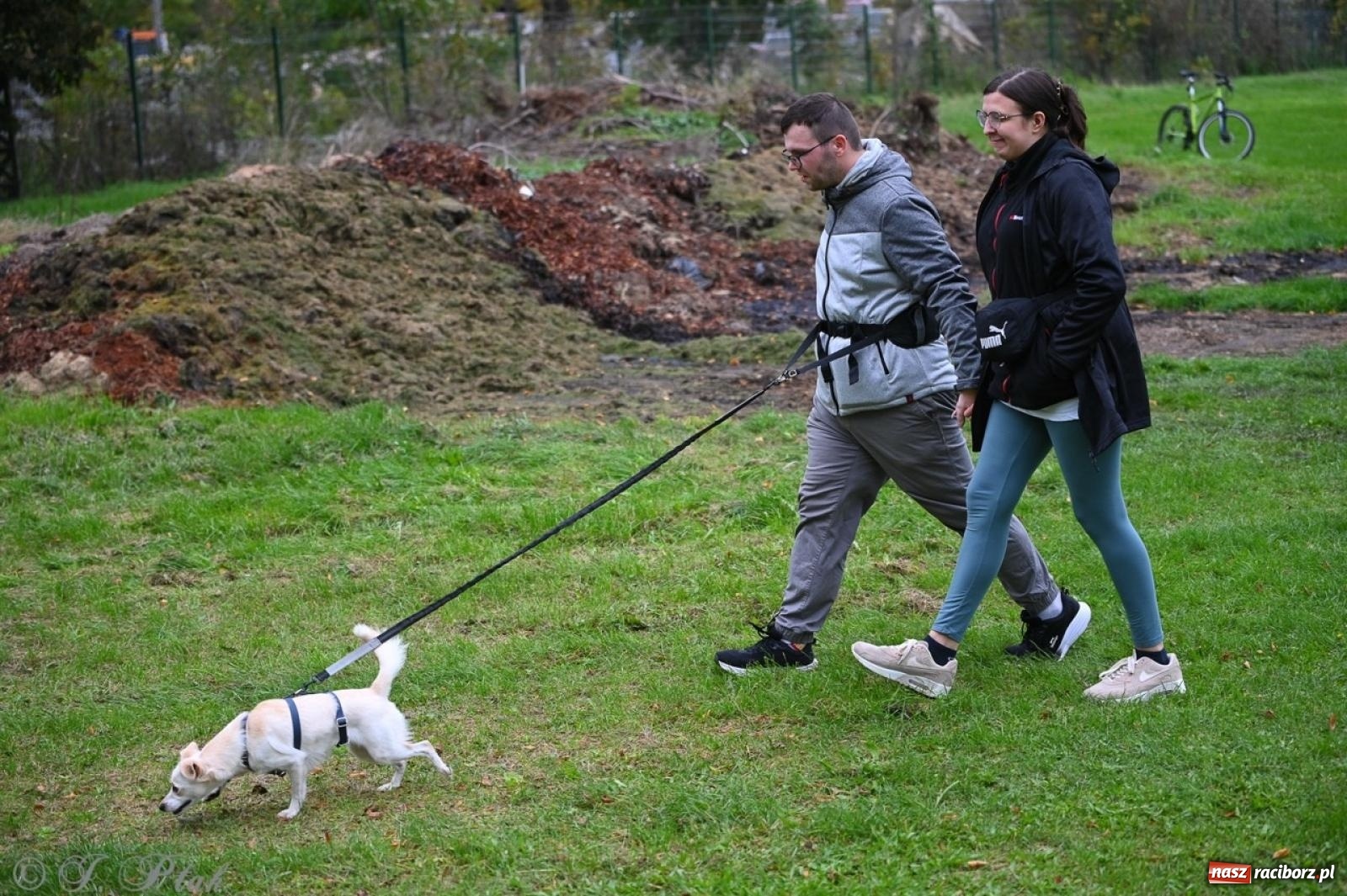 Zdjęcie w galerii na portalu naszraciborz.pl: Niedzielny dogtrekking. Bieg i spacer z psami wsparciem dla zwierząt OTOZ Animals wiadomości z regionu