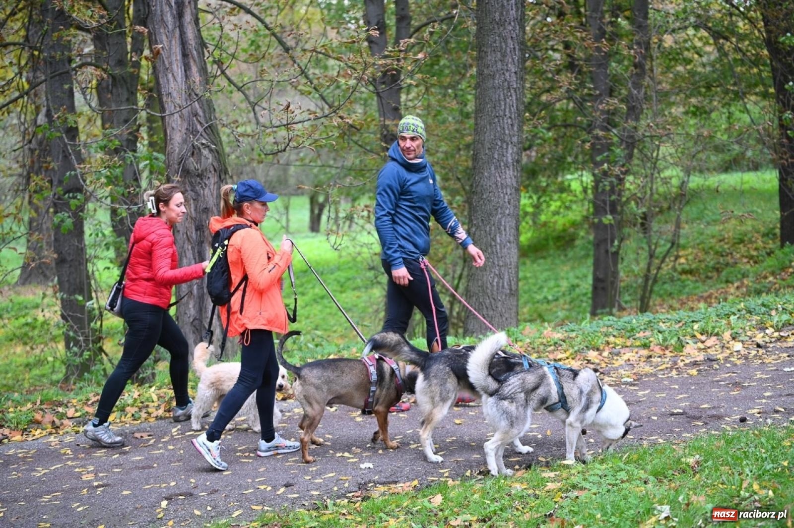 Zdjęcie w galerii na portalu naszraciborz.pl: Niedzielny dogtrekking. Bieg i spacer z psami wsparciem dla zwierząt OTOZ Animals wiadomości z regionu