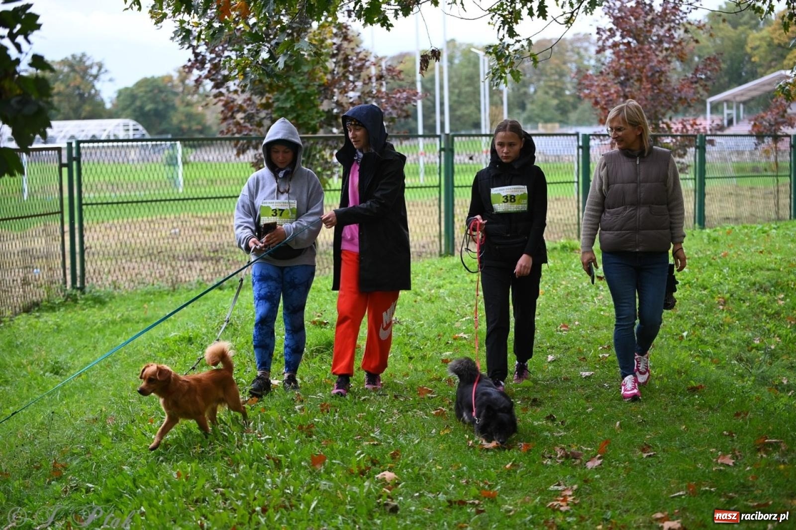 Zdjęcie w galerii na portalu naszraciborz.pl: Niedzielny dogtrekking. Bieg i spacer z psami wsparciem dla zwierząt OTOZ Animals wiadomości z regionu