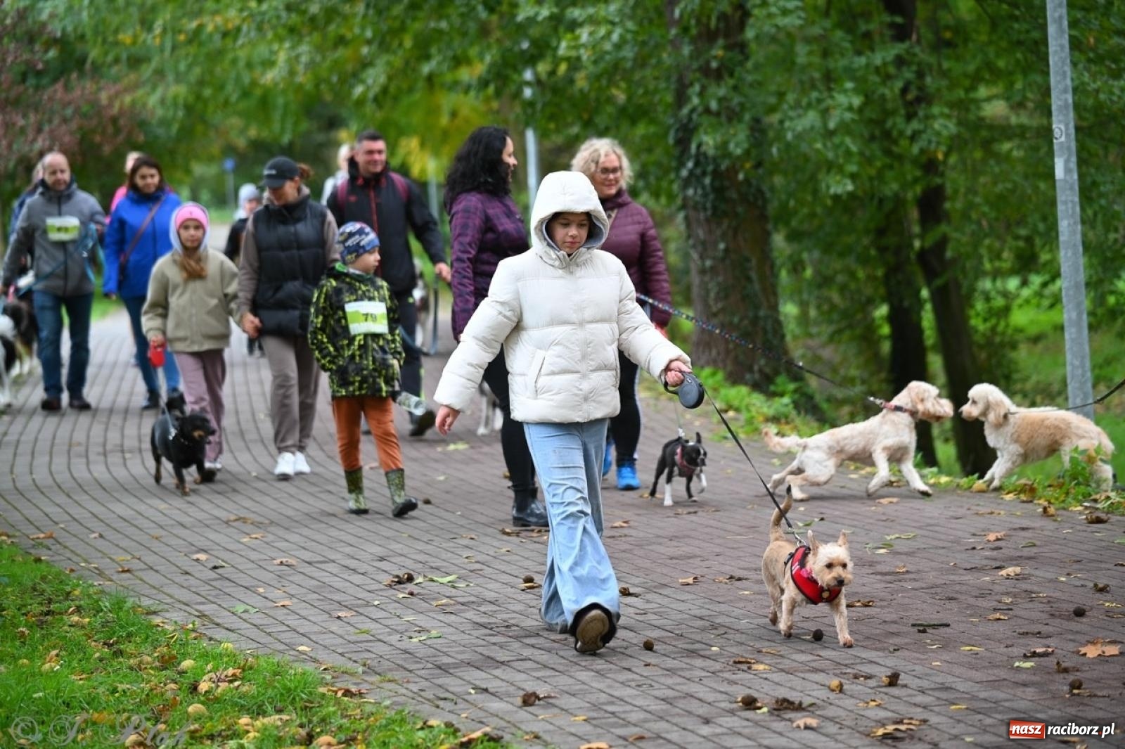 Zdjęcie w galerii na portalu naszraciborz.pl: Niedzielny dogtrekking. Bieg i spacer z psami wsparciem dla zwierząt OTOZ Animals wiadomości z regionu