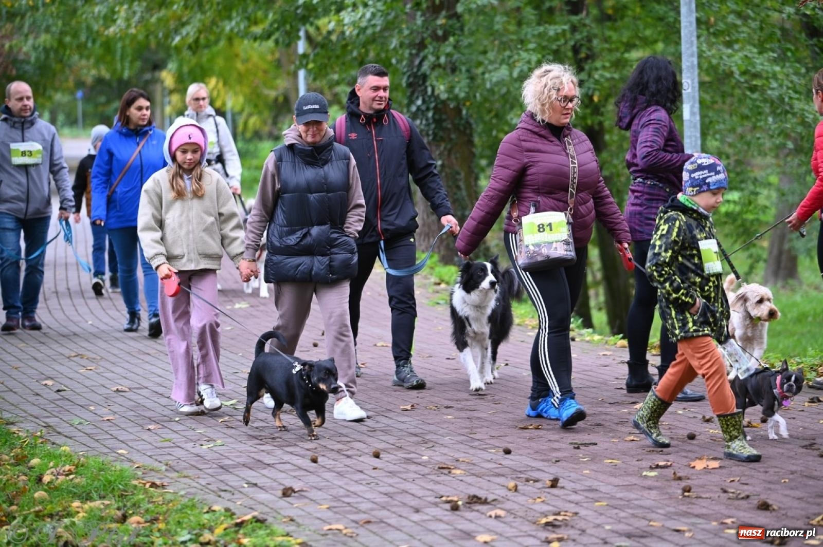Zdjęcie w galerii na portalu naszraciborz.pl: Niedzielny dogtrekking. Bieg i spacer z psami wsparciem dla zwierząt OTOZ Animals wiadomości z regionu