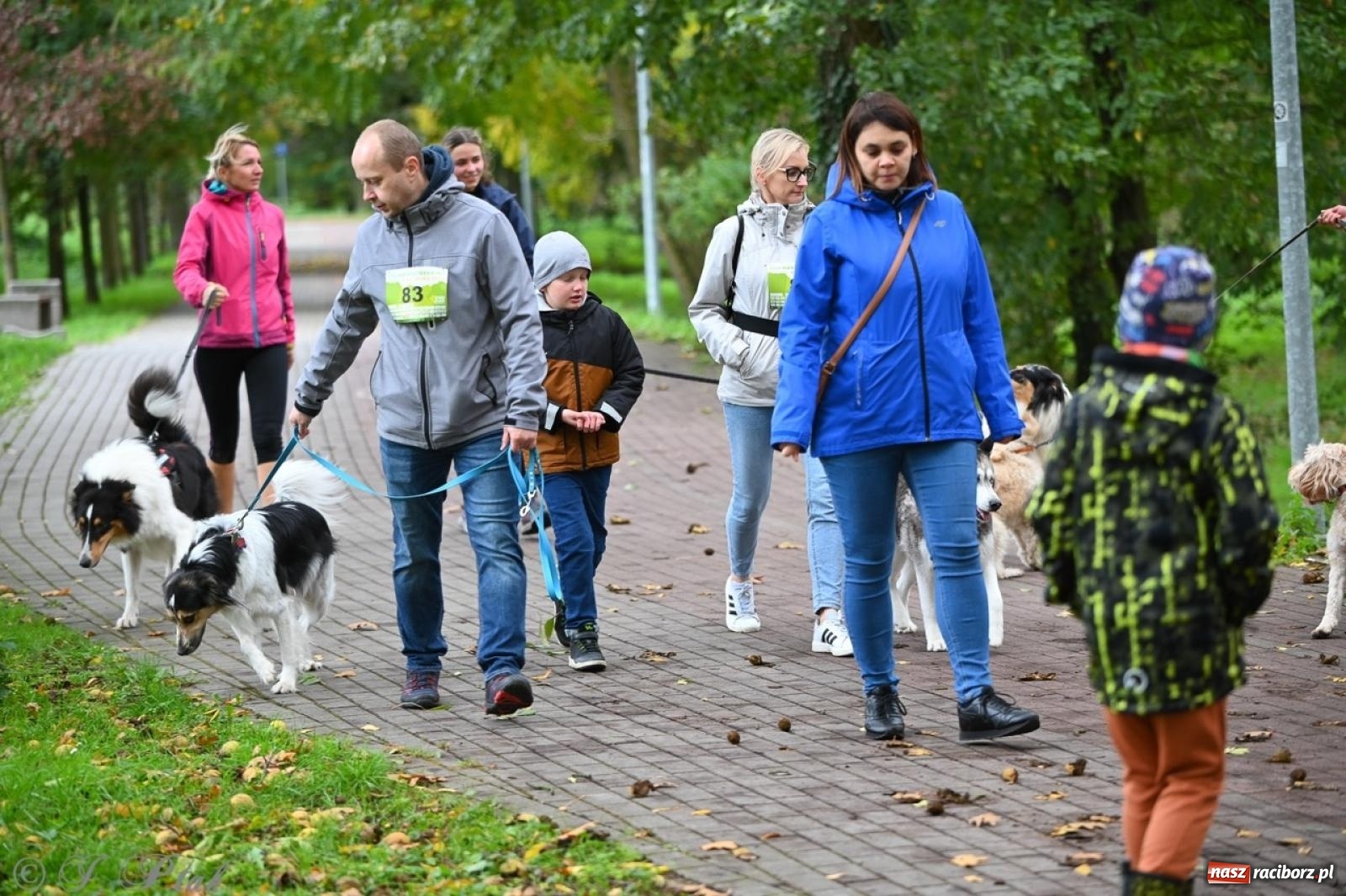 Zdjęcie w galerii na portalu naszraciborz.pl: Niedzielny dogtrekking. Bieg i spacer z psami wsparciem dla zwierząt OTOZ Animals wiadomości z regionu