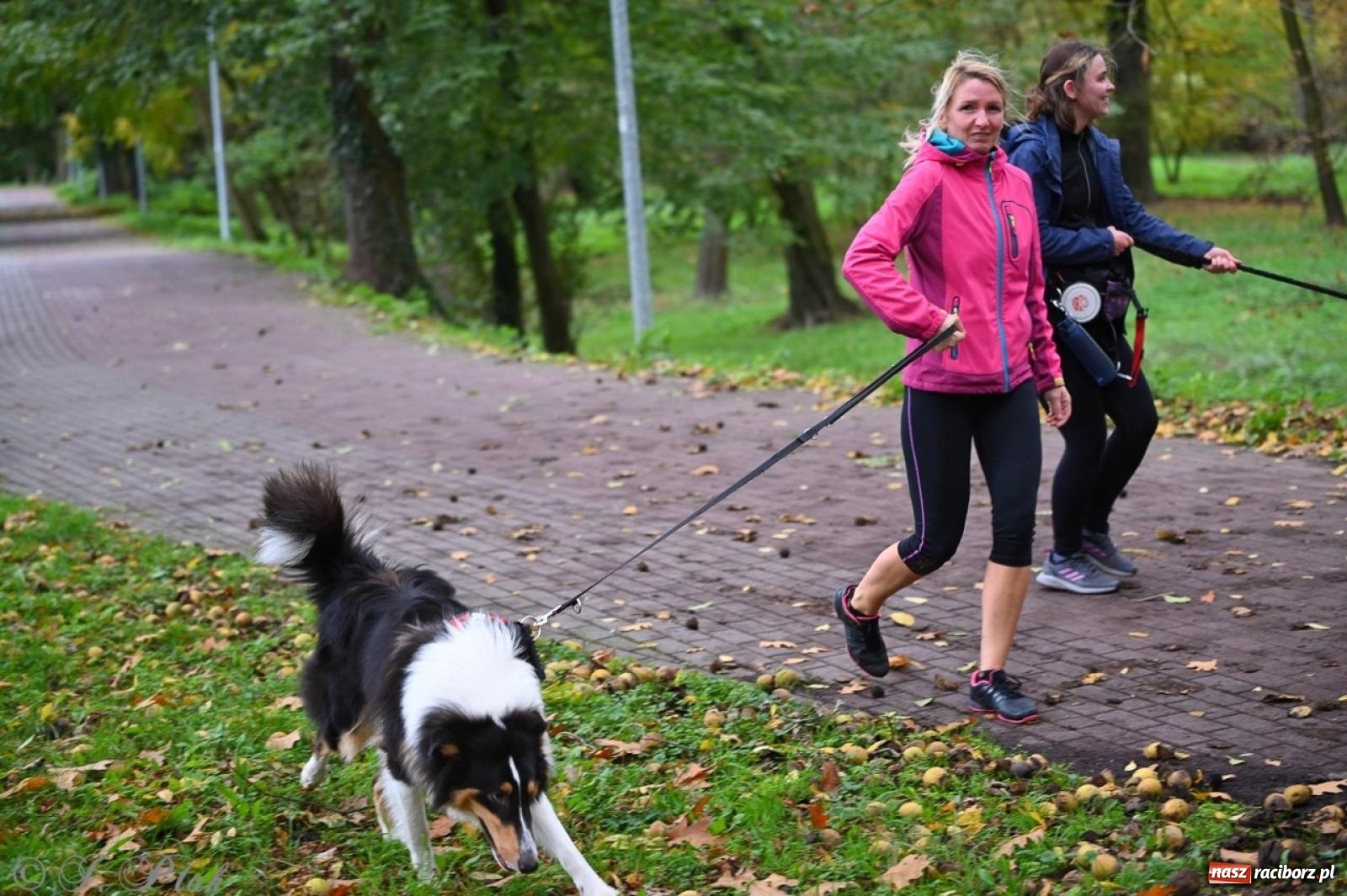 Zdjęcie w galerii na portalu naszraciborz.pl: Niedzielny dogtrekking. Bieg i spacer z psami wsparciem dla zwierząt OTOZ Animals wiadomości z regionu