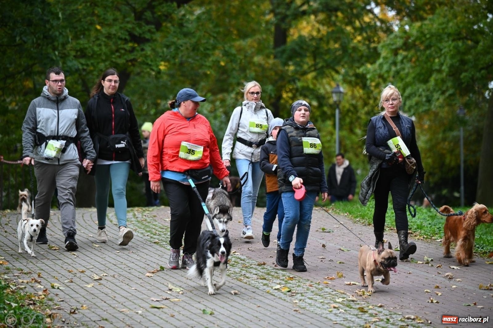 Zdjęcie w galerii na portalu naszraciborz.pl: Niedzielny dogtrekking. Bieg i spacer z psami wsparciem dla zwierząt OTOZ Animals wiadomości z regionu