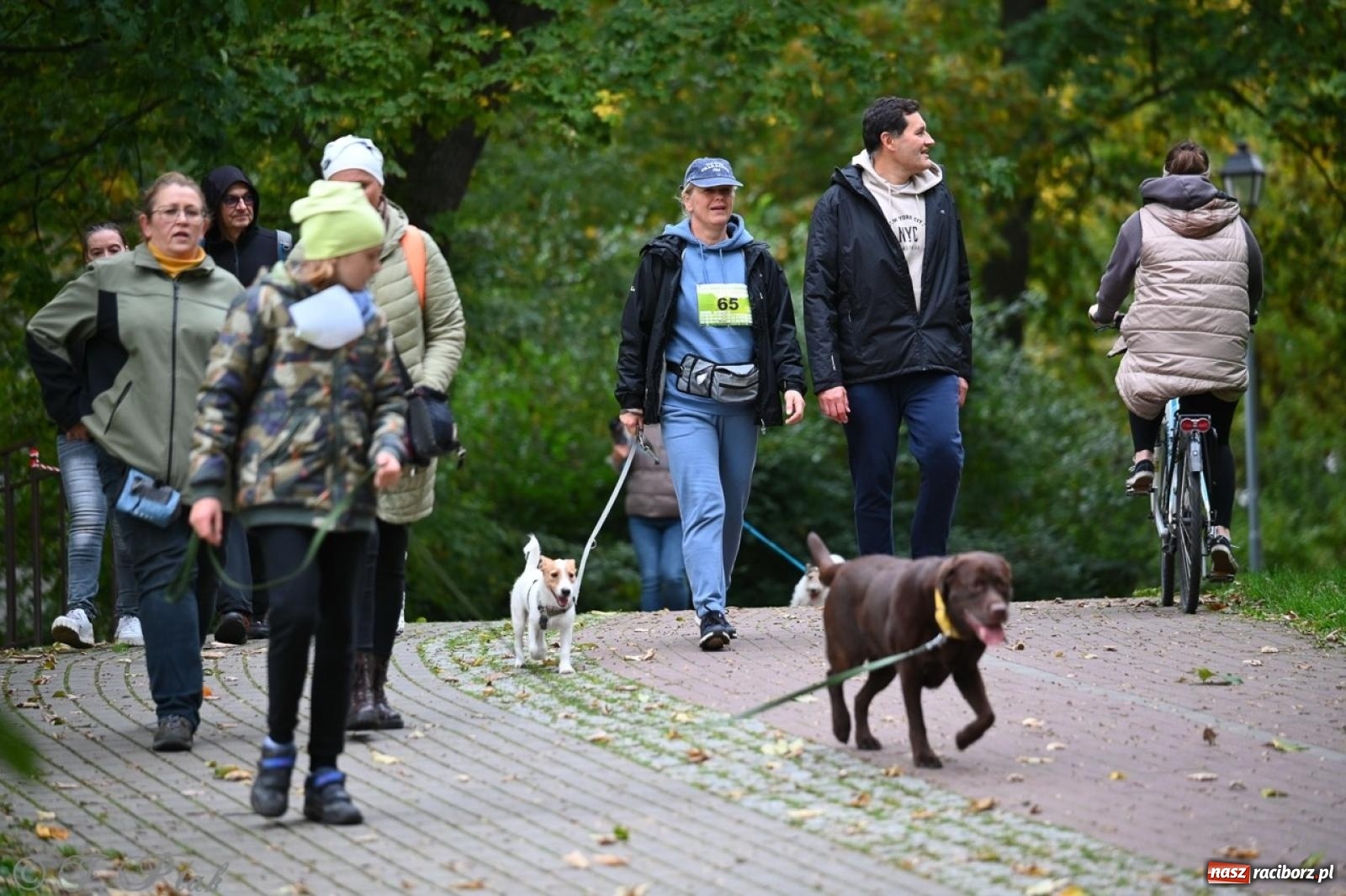 Zdjęcie w galerii na portalu naszraciborz.pl: Niedzielny dogtrekking. Bieg i spacer z psami wsparciem dla zwierząt OTOZ Animals wiadomości z regionu