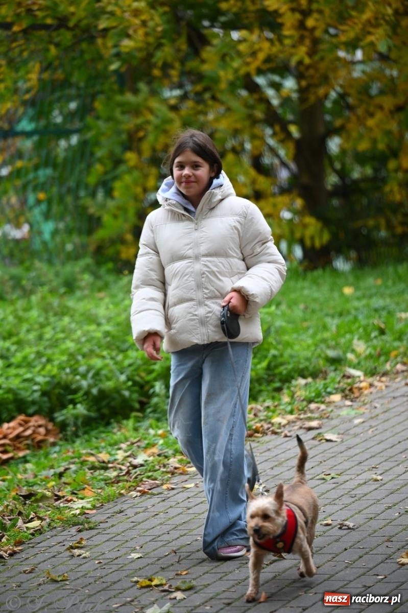 Zdjęcie w galerii na portalu naszraciborz.pl: Niedzielny dogtrekking. Bieg i spacer z psami wsparciem dla zwierząt OTOZ Animals wiadomości z regionu