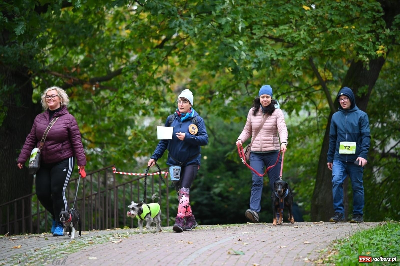 Zdjęcie w galerii na portalu naszraciborz.pl: Niedzielny dogtrekking. Bieg i spacer z psami wsparciem dla zwierząt OTOZ Animals wiadomości z regionu