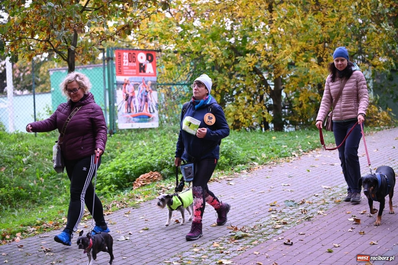 Zdjęcie w galerii na portalu naszraciborz.pl: Niedzielny dogtrekking. Bieg i spacer z psami wsparciem dla zwierząt OTOZ Animals wiadomości z regionu