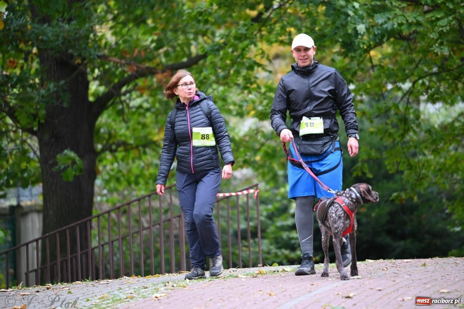 Zdjęcie w galerii na portalu naszraciborz.pl: Niedzielny dogtrekking. Bieg i spacer z psami wsparciem dla zwierząt OTOZ Animals wiadomości z regionu