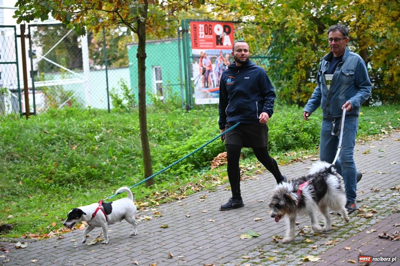 Zdjęcie w galerii na portalu naszraciborz.pl: Niedzielny dogtrekking. Bieg i spacer z psami wsparciem dla zwierząt OTOZ Animals wiadomości z regionu