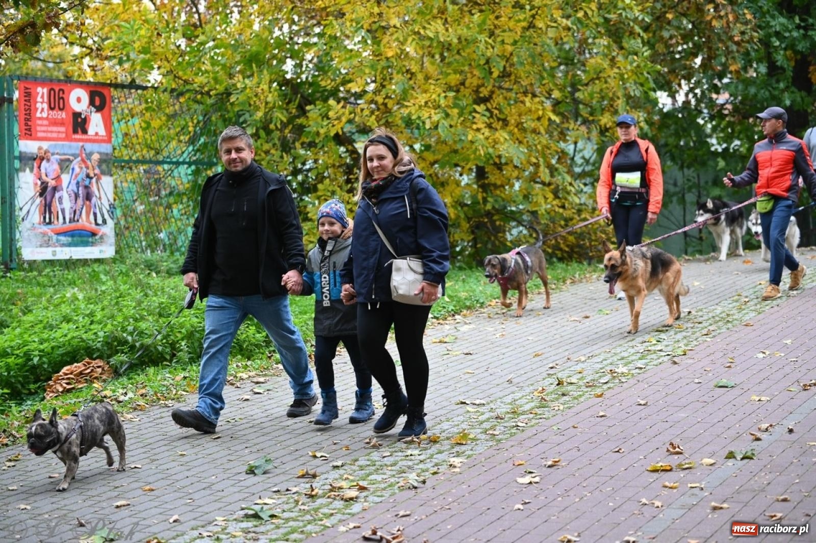 Zdjęcie w galerii na portalu naszraciborz.pl: Niedzielny dogtrekking. Bieg i spacer z psami wsparciem dla zwierząt OTOZ Animals wiadomości z regionu