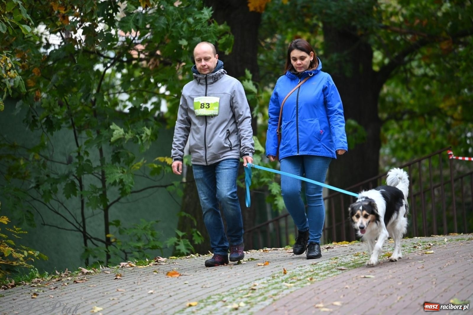 Zdjęcie w galerii na portalu naszraciborz.pl: Niedzielny dogtrekking. Bieg i spacer z psami wsparciem dla zwierząt OTOZ Animals wiadomości z regionu