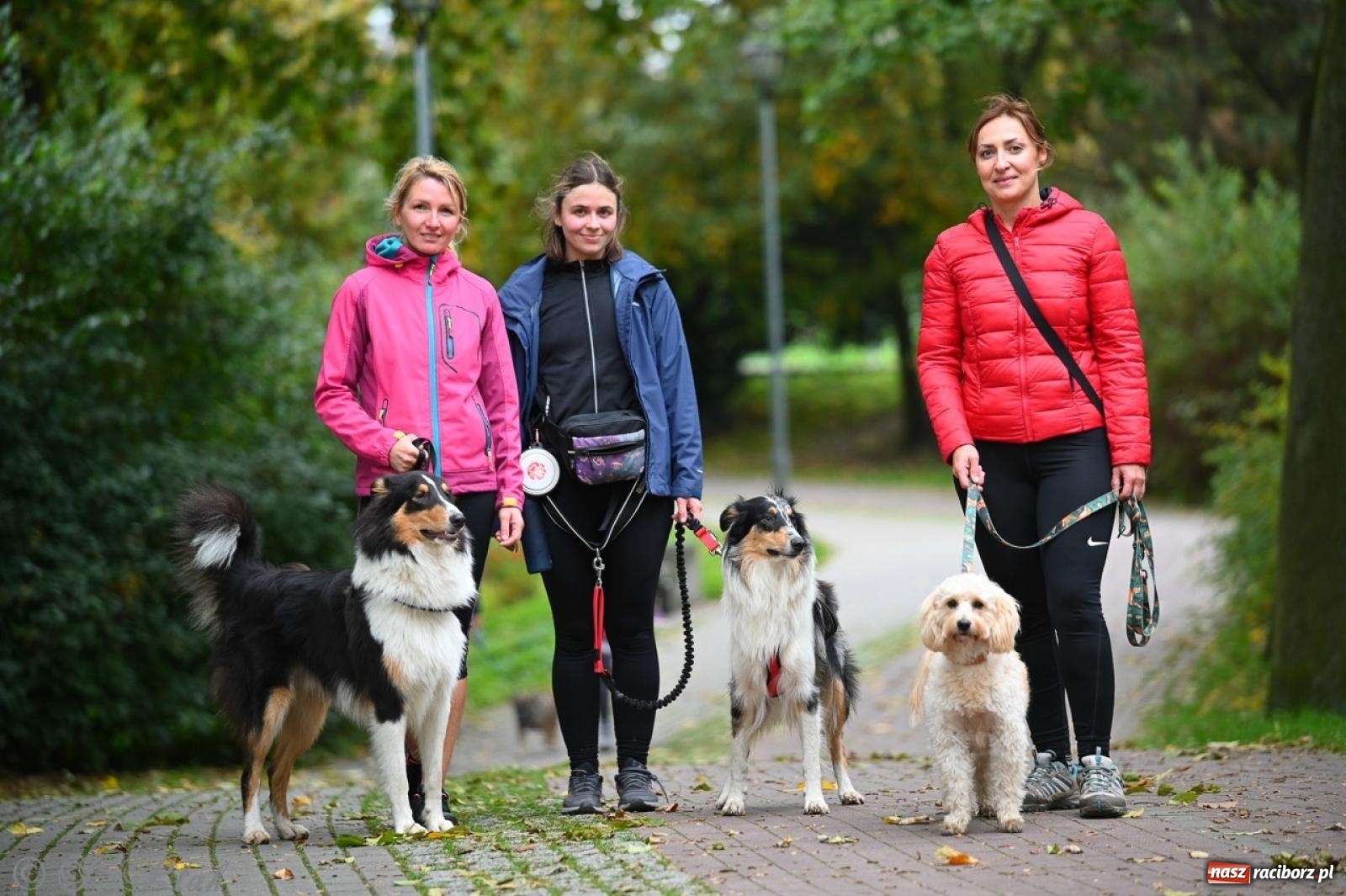 Zdjęcie w galerii na portalu naszraciborz.pl: Niedzielny dogtrekking. Bieg i spacer z psami wsparciem dla zwierząt OTOZ Animals wiadomości z regionu