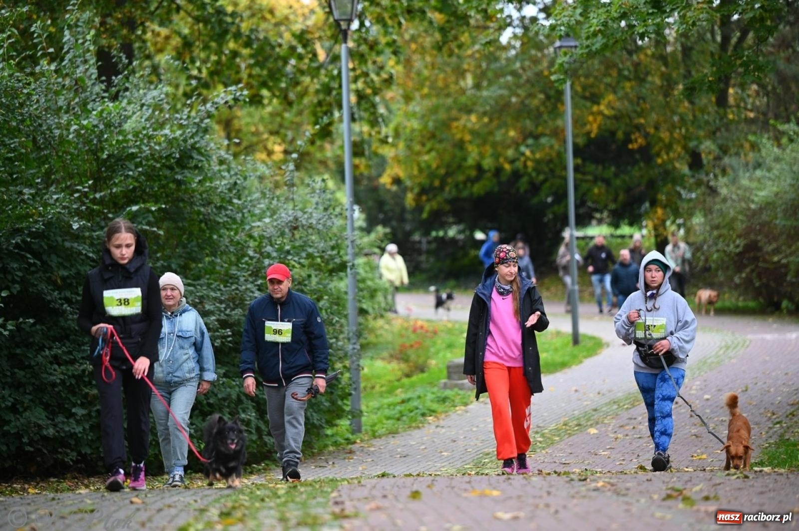 Zdjęcie w galerii na portalu naszraciborz.pl: Niedzielny dogtrekking. Bieg i spacer z psami wsparciem dla zwierząt OTOZ Animals wiadomości z regionu