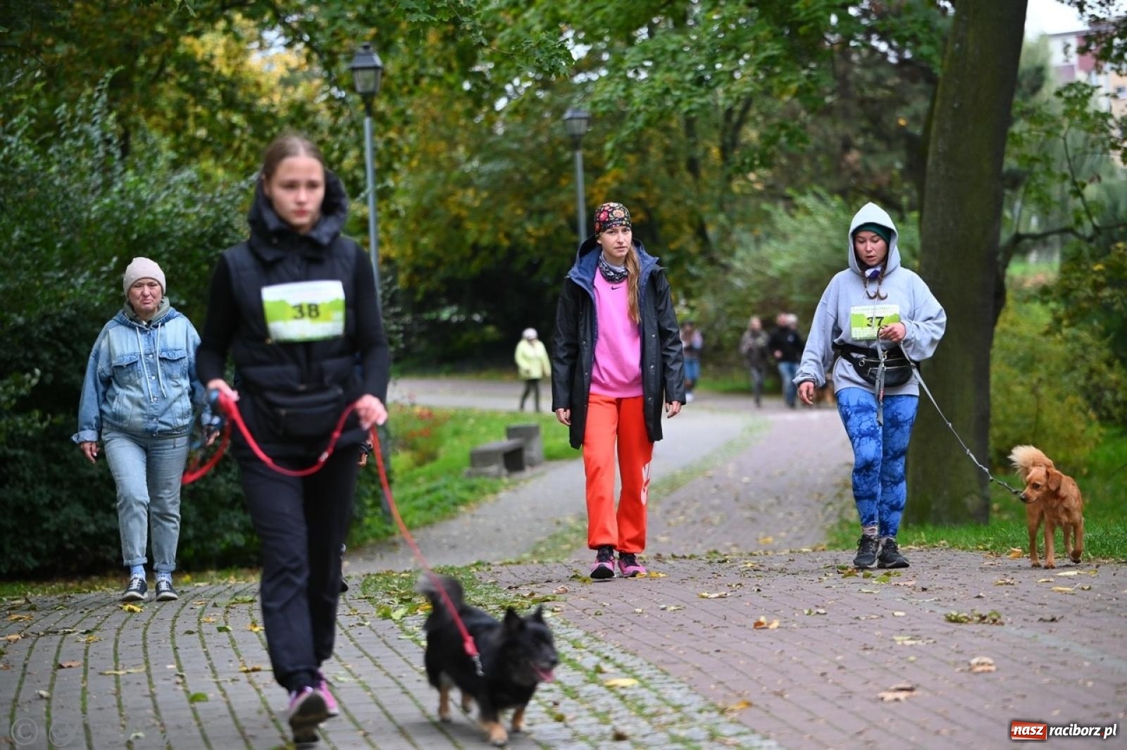 Zdjęcie w galerii na portalu naszraciborz.pl: Niedzielny dogtrekking. Bieg i spacer z psami wsparciem dla zwierząt OTOZ Animals wiadomości z regionu