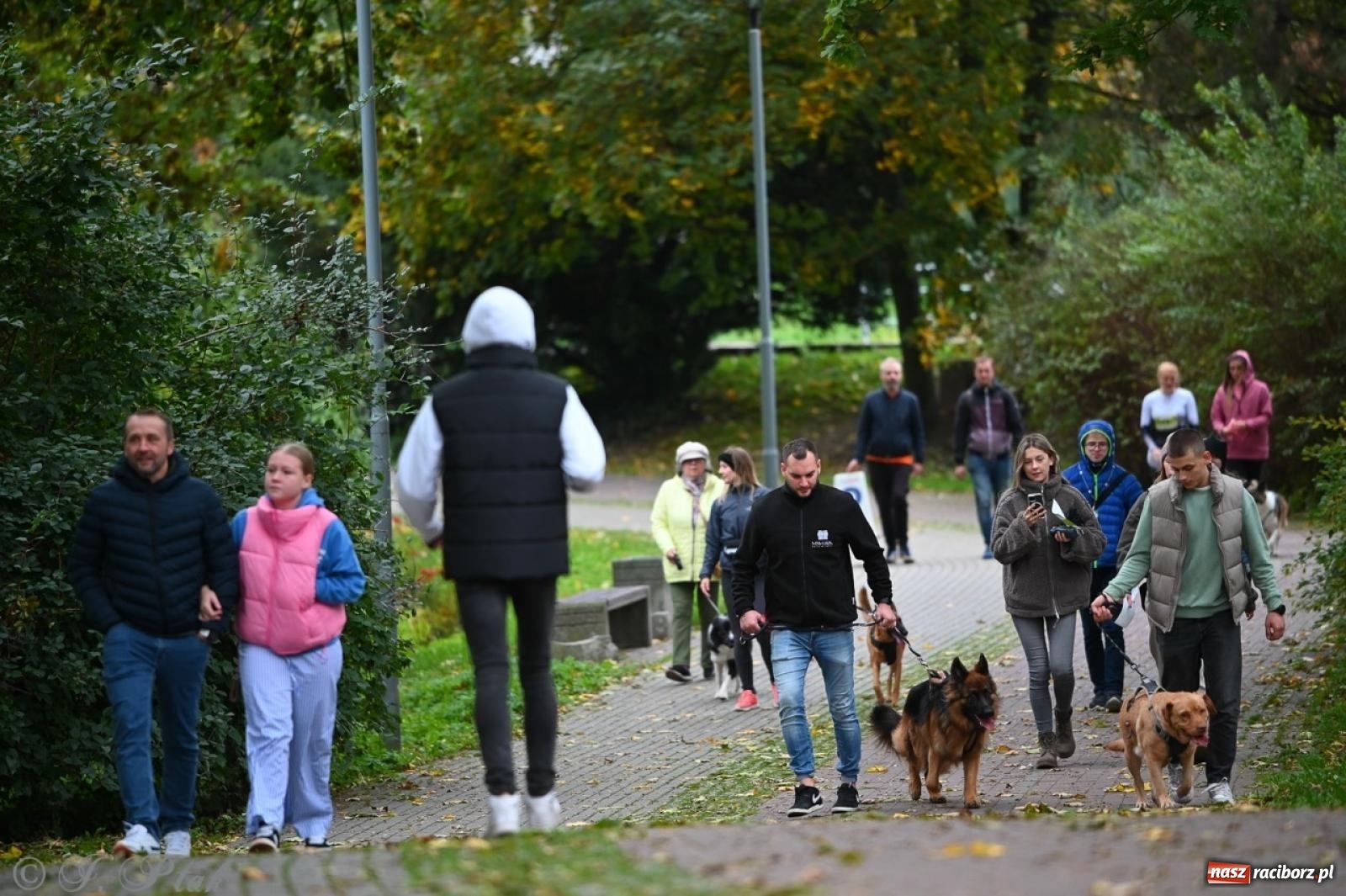 Zdjęcie w galerii na portalu naszraciborz.pl: Niedzielny dogtrekking. Bieg i spacer z psami wsparciem dla zwierząt OTOZ Animals wiadomości z regionu