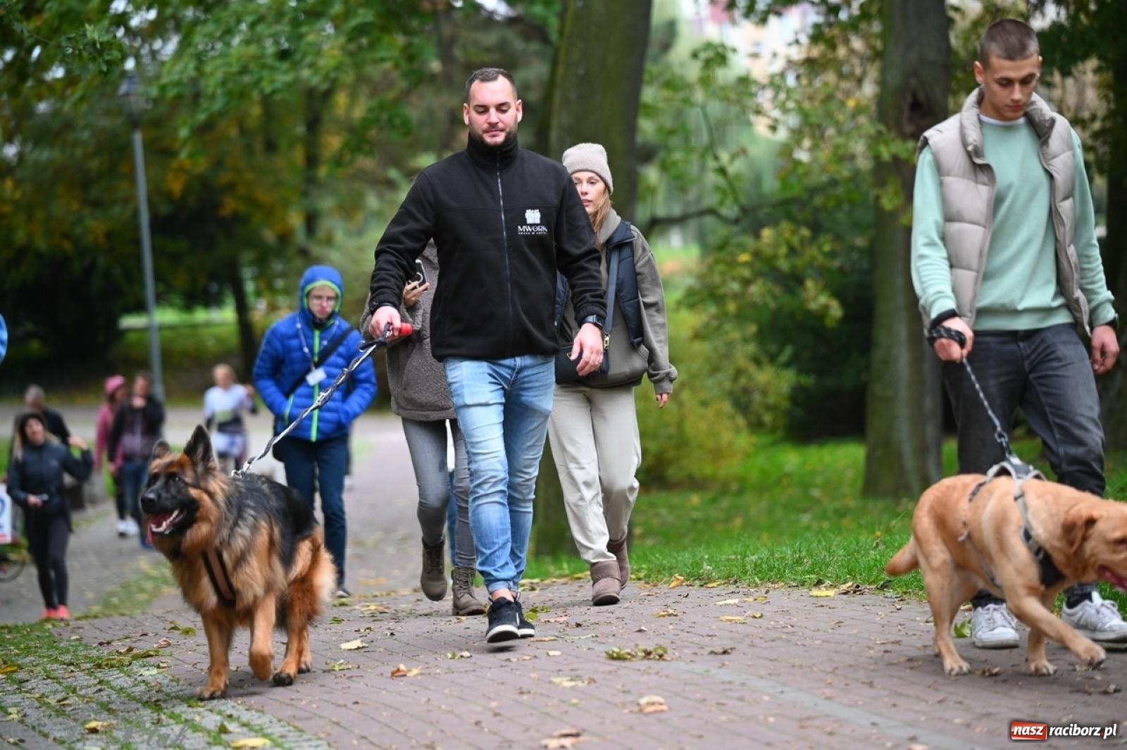 Zdjęcie w galerii na portalu naszraciborz.pl: Niedzielny dogtrekking. Bieg i spacer z psami wsparciem dla zwierząt OTOZ Animals wiadomości z regionu