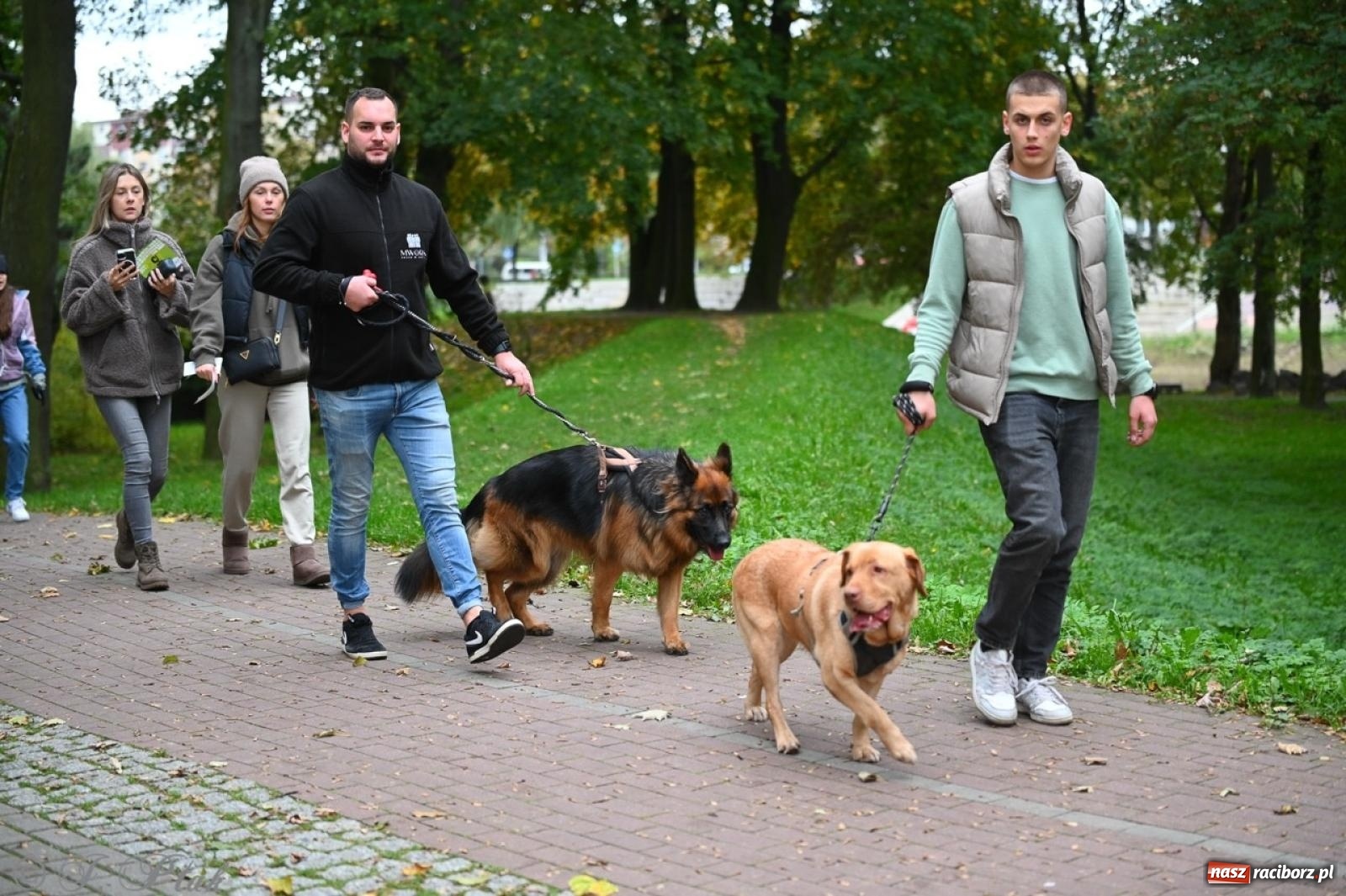 Zdjęcie w galerii na portalu naszraciborz.pl: Niedzielny dogtrekking. Bieg i spacer z psami wsparciem dla zwierząt OTOZ Animals wiadomości z regionu