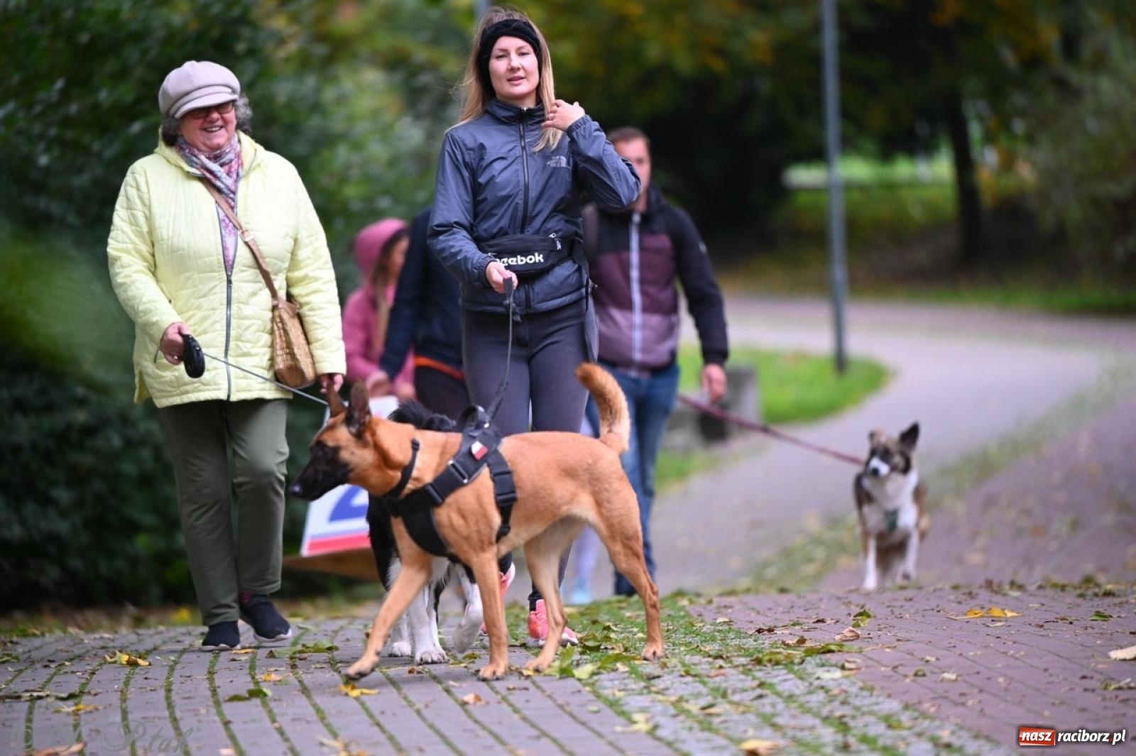 Zdjęcie w galerii na portalu naszraciborz.pl: Niedzielny dogtrekking. Bieg i spacer z psami wsparciem dla zwierząt OTOZ Animals wiadomości z regionu