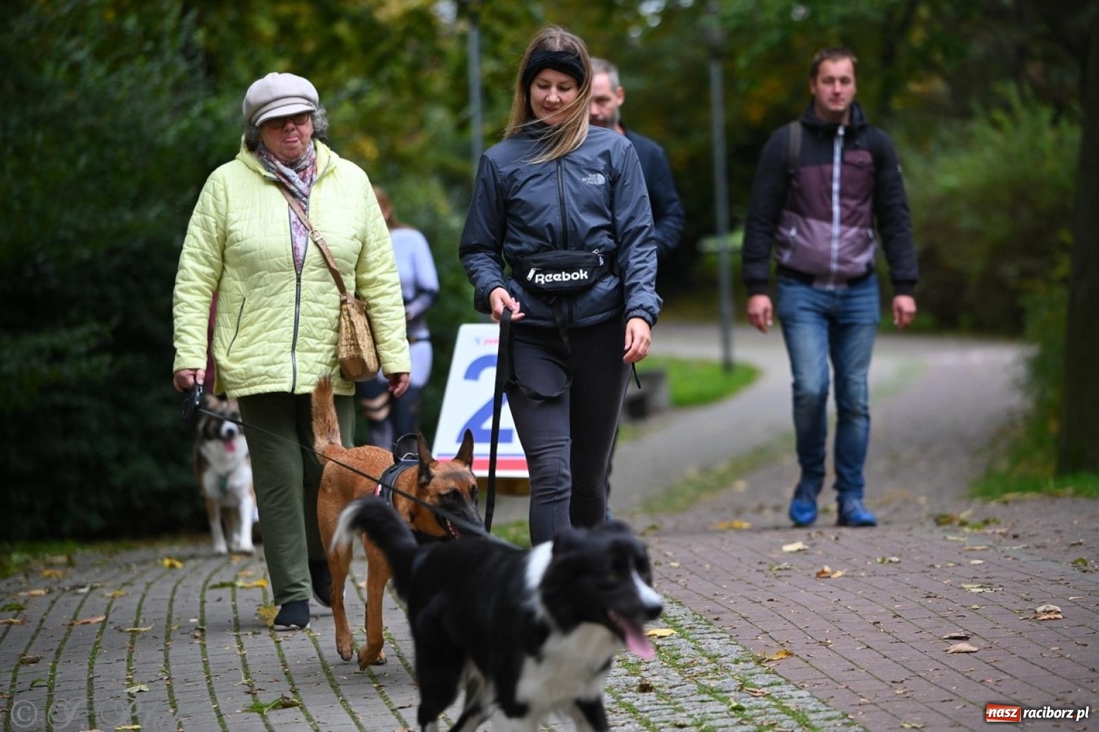 Zdjęcie w galerii na portalu naszraciborz.pl: Niedzielny dogtrekking. Bieg i spacer z psami wsparciem dla zwierząt OTOZ Animals wiadomości z regionu