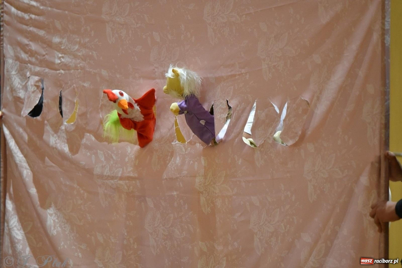 Zdjęcie w galerii na portalu naszraciborz.pl: PSM. Koncert i nagrody z okazji Dnia Edukacji Narodowej w Raciborzu wiadomości z regionu