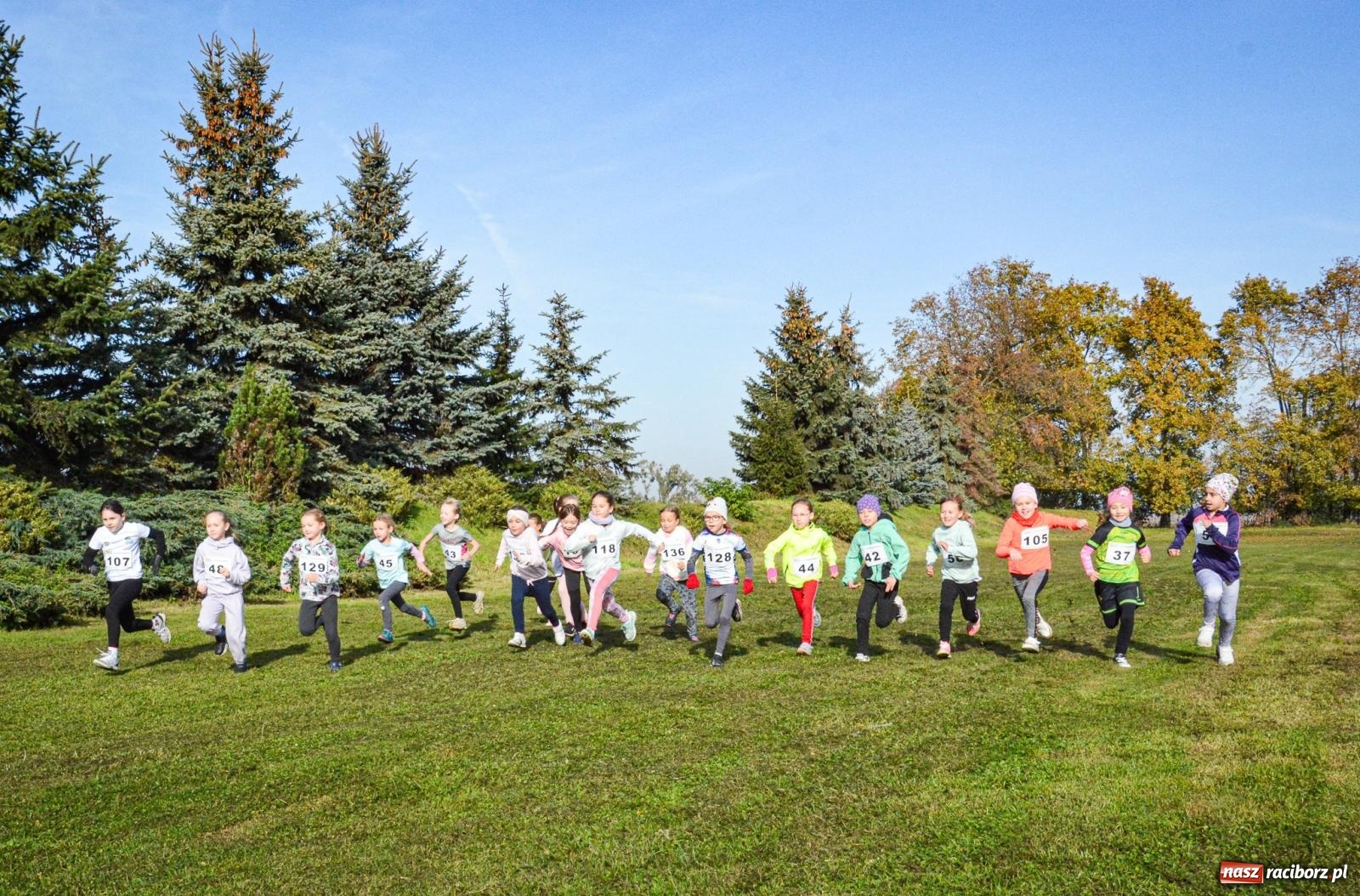 Zdjęcie w galerii na portalu naszraciborz.pl: Rywalizacja i rekreacja. Rodzinny piknik biegowy w Pietrowicach Wielkich wiadomości z regionu