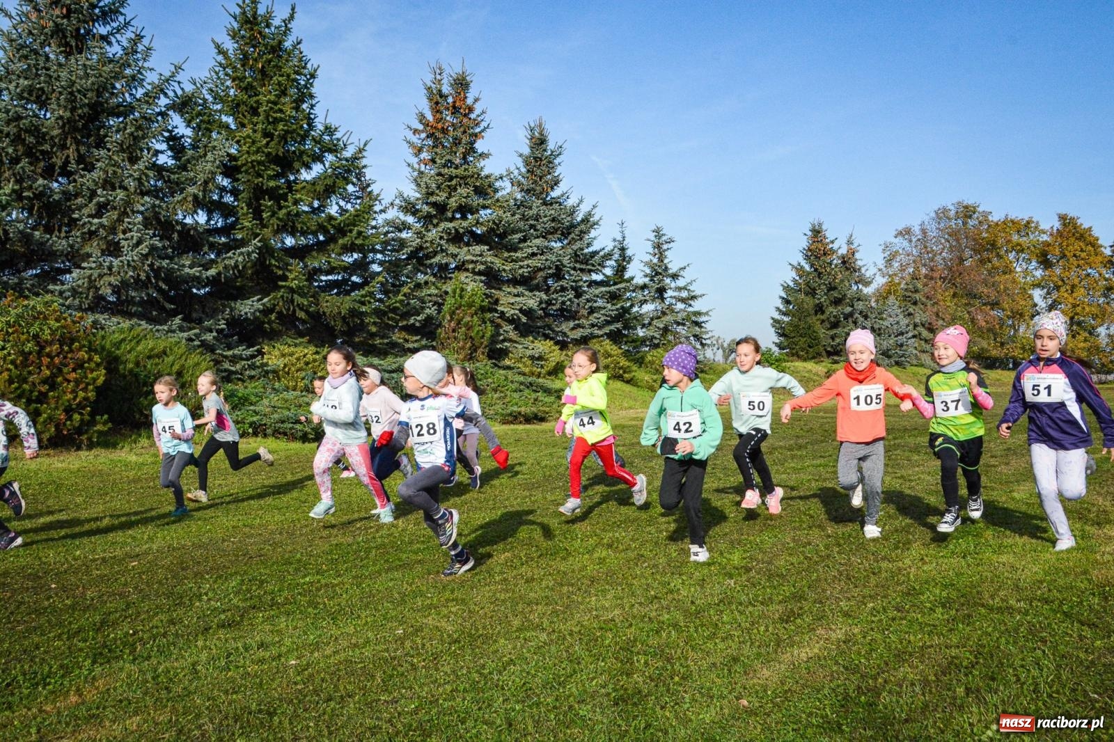 Zdjęcie w galerii na portalu naszraciborz.pl: Rywalizacja i rekreacja. Rodzinny piknik biegowy w Pietrowicach Wielkich wiadomości z regionu