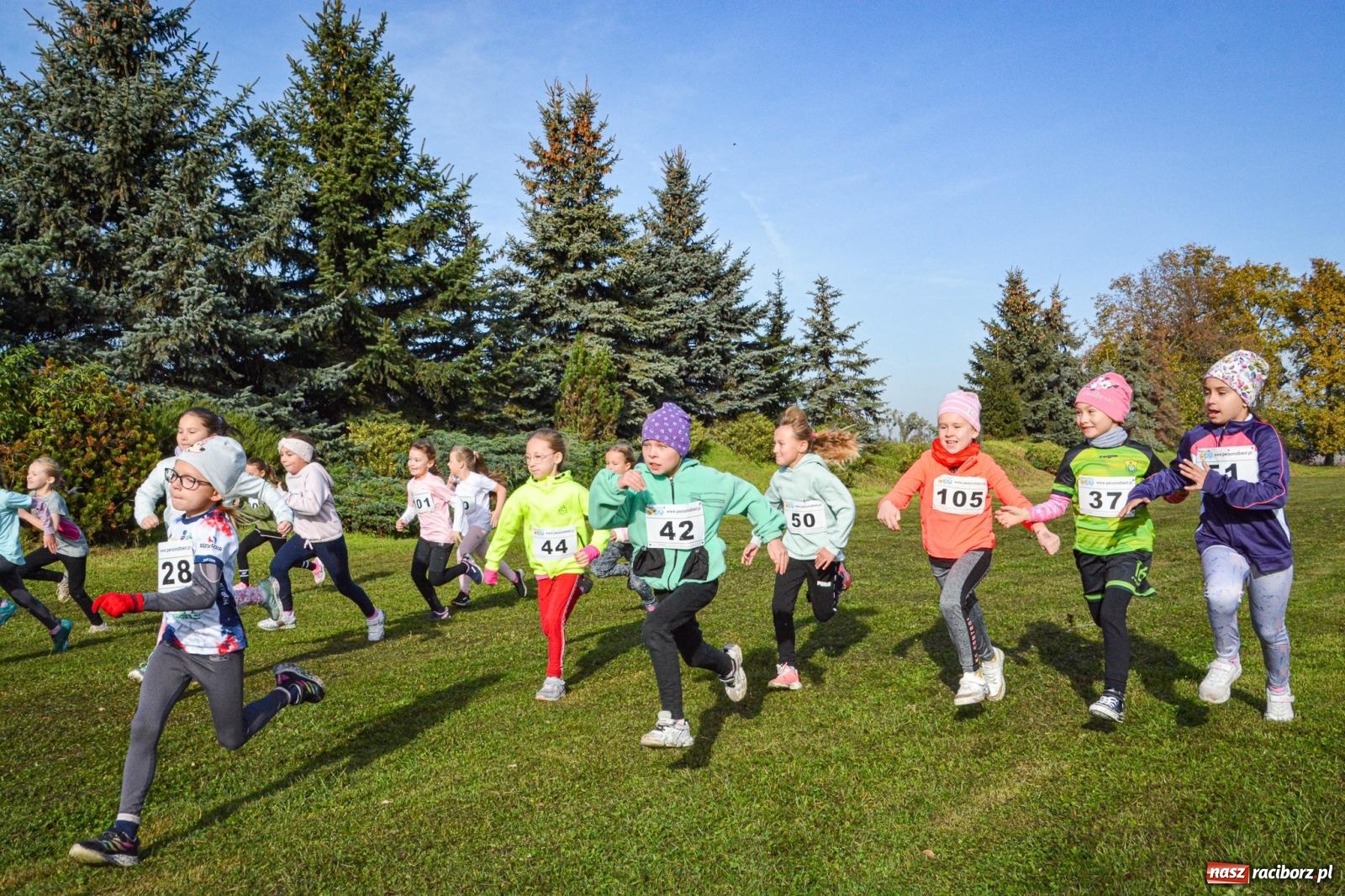 Zdjęcie w galerii na portalu naszraciborz.pl: Rywalizacja i rekreacja. Rodzinny piknik biegowy w Pietrowicach Wielkich wiadomości z regionu